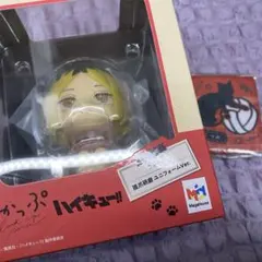 ハイキュー　るかっぷ　狐爪研磨