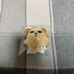 アントン　日焼けぬい