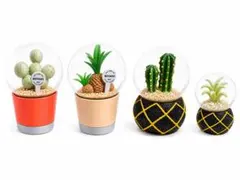 ダルトン スノードーム 植物 サボテン - メルカリ