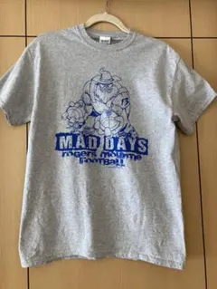US古着 GILDAN Tシャツ グレー ビックプリント アメリカ古着