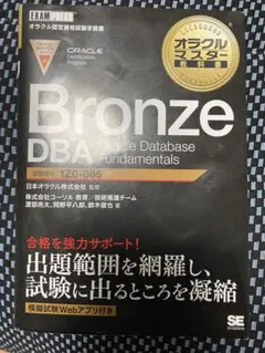 Item thumbnail for item 4abd9e61-3e2d-4467-adc3-3fc6f804e88d