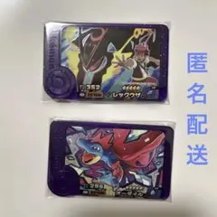 ポケモンフレンダ　ベストタッグ第5弾 スーパートレジャー　レックウザ　オーダイル