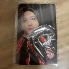 Stray Kids KARMA FANS 特典トレカ　チャンビン