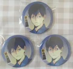 ハイキュー！！ 影山飛雄