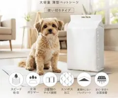 Item thumbnail for item 5e8127ed-eaa3-4d98-ab38-97bad793b827