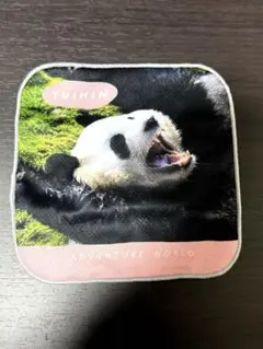 アドベンチャーワールド　パンダファミリータオル　結浜
