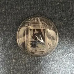 仮面ライダー アギト G7 映画 サントリー レア キーホルダー - メルカリ