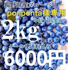 長野県産ブルーベリー 2kg ponponta様専用