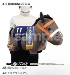 サラブレッドコレクションDMMスクラッチ第十弾 A賞超BIGクロワデュ
