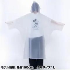 Item thumbnail for item 31303c0f-dc11-47ea-90e4-8a0a686b753f