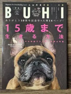 Item thumbnail for item 3634453c-239f-4fbc-8c4c-1d8529f14cdd