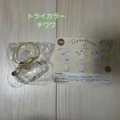 【トライカラー　チワワ】うちの子のけだまだま ガチャ カプセルトイ