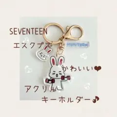 SEVENTEEN ✧エスクプス✧かわいい♡⃛アクリル・キーホルダー♪
