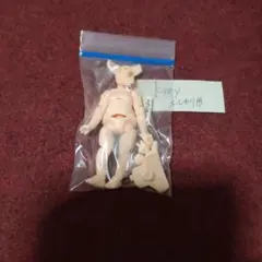 12　ねんどろいどどーる ボディのみ