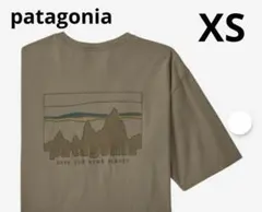 patagonia パタゴニア Tシャツ 半袖 シャツ トップス 37534