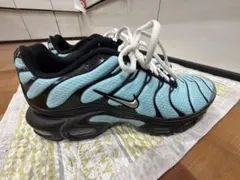 ナイキ　エアマックス　プラス　水色