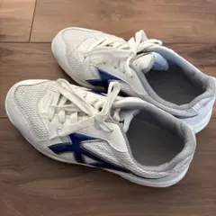 体育館シューズ ホワイト/ブルー