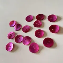 フランス製貝ボタン 15個セット B116