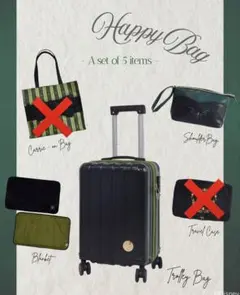 しまむら　ちはる　ハッピーバッグ　キャリーケース　ディズニー　アナ雪　アナ