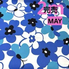 Item thumbnail for item e11f7206-8b77-4df1-9738-da80c615a4b6