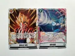 2026年最新】DUAL EVOLUTIONの人気アイテム - メルカリ