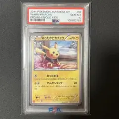 あったかピカチュウ PSA10 No.41）【PSA10】あったかピカチュウ [095/XY-P] P - BIGトレカ