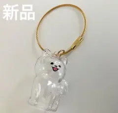 新品　わんこのタイムカプセル