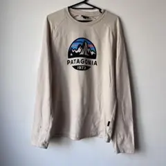 PATAGONIA オーガニックコットン Tシャツ M