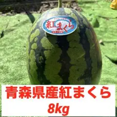 紅まくら 特大2玉入り 甘くて美味しい16〜17 Kg - メルカリ