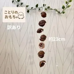 しょこな様 リクエスト 2点 まとめ商品