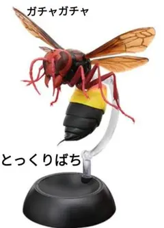 Item thumbnail for item 66e0cf01-6dd0-4456-80be-fac6b6daa569