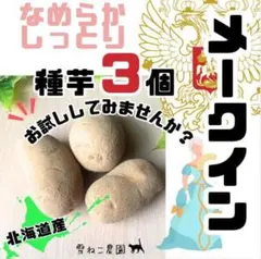 2026年最新】紫つくね芋の人気アイテム - メルカリ