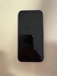 Apple iPhone 12 本体 ブルー