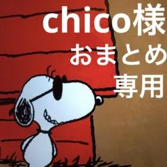 chico様 リクエスト 2点 まとめ商品