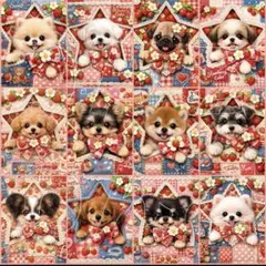 6- パネル ③枚セット - メルカリ