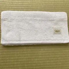 TENERITAフェイスタオル40×80cm オーガニックコットン　サックスのサムネイル