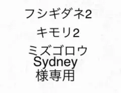 Sydney様専用