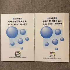 2026年最新】馬渕 公開テスト 中学2年の人気アイテム - メルカリ