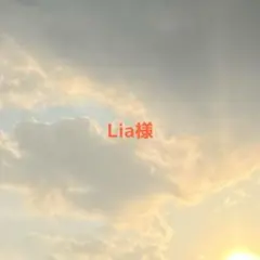 Lia様専用
