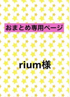 rium様 リクエスト 2点 まとめ商品