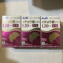 D シュワーベギンコ イチョウ葉エキス EX 120mg ×2 - メルカリ