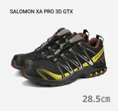 ★【国内正規品・新品】SALOMON　XA PRO 3D GTX　28.5㎝