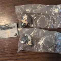 WIND BREAKER ウィンドブレーカー カプセルトイ 桜遥　蘇枋隼飛