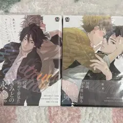 キューピッドに落雷　2巻セット　鈴丸みんた