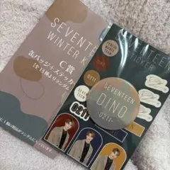 SEVENTEEN winter くじ ディノ C賞