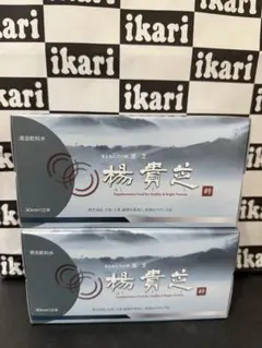 Item thumbnail for item 1b8e173c-3fd2-44d8-8c32-aa1209ba7a59