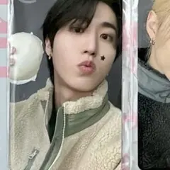 StrayKids スキズ ハン プレリス fans do it トレカ