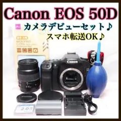 ✨シャッター数3039回✨初心者おすすめ✨Canon 50D レンズセット
