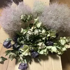 ☆スモークツリー&クリスマスローズドライフラワーセット☆のサムネイル
