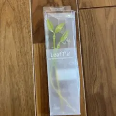 Item thumbnail for item 41af180c-8188-41a7-98a3-a618a139f0be